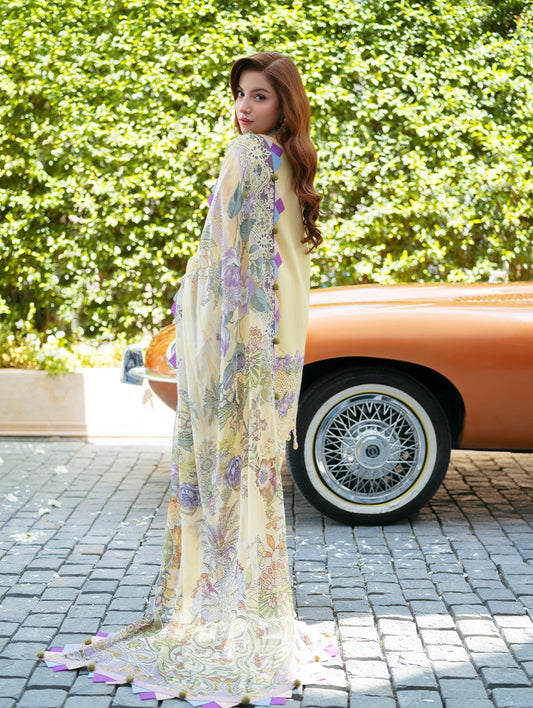 Jade Ombre Starlet