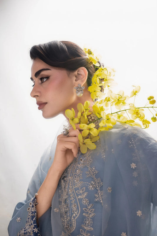 Rang Rasiya Lumeire Silk ’