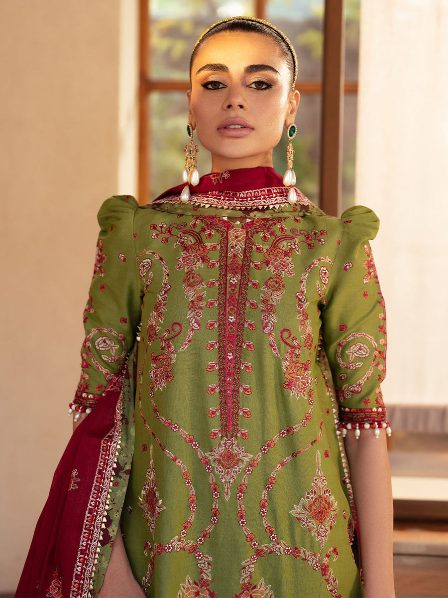 pakistani pakistani suit pakistani suit