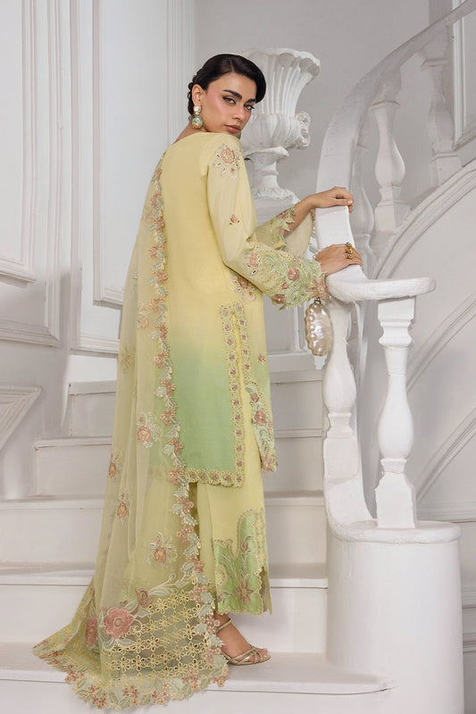 Rang Rasiya Lumeire Silk