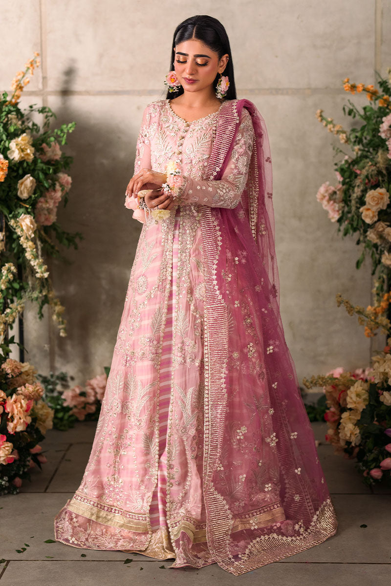 Mushq Unstitched Mastani Evening