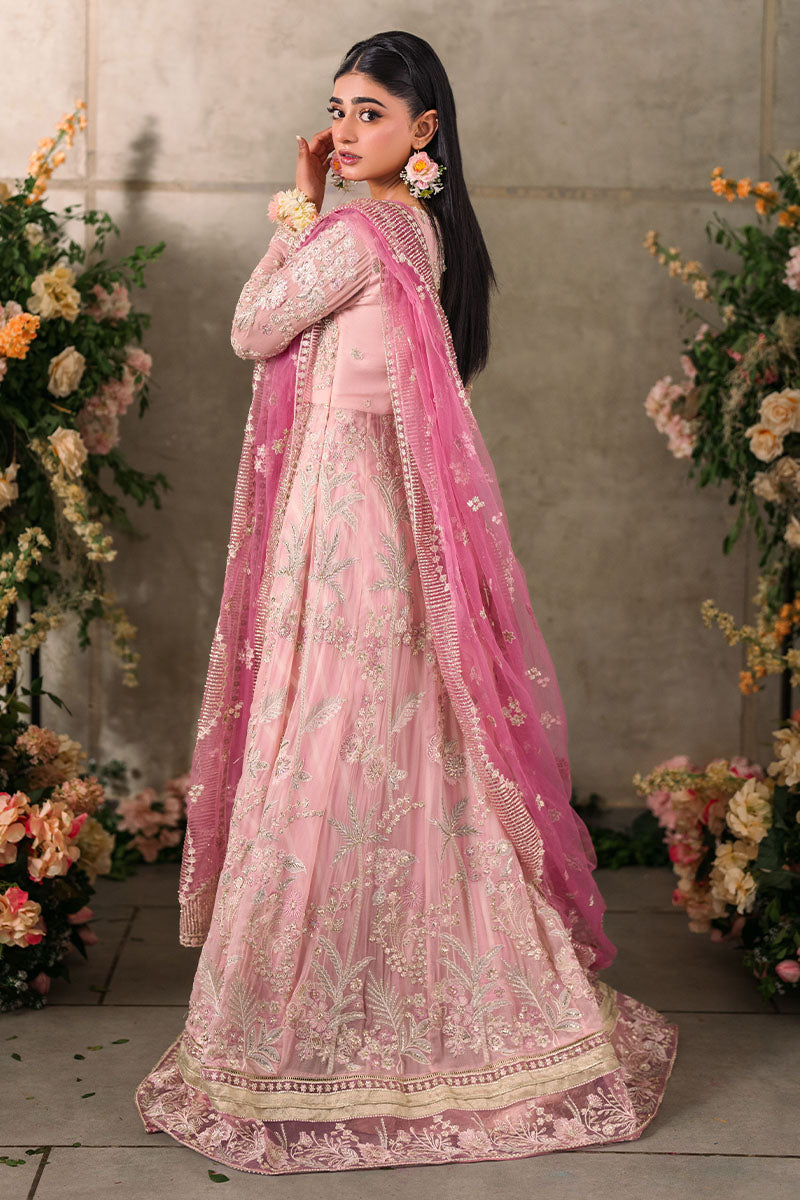 Mushq Unstitched Mastani Evening