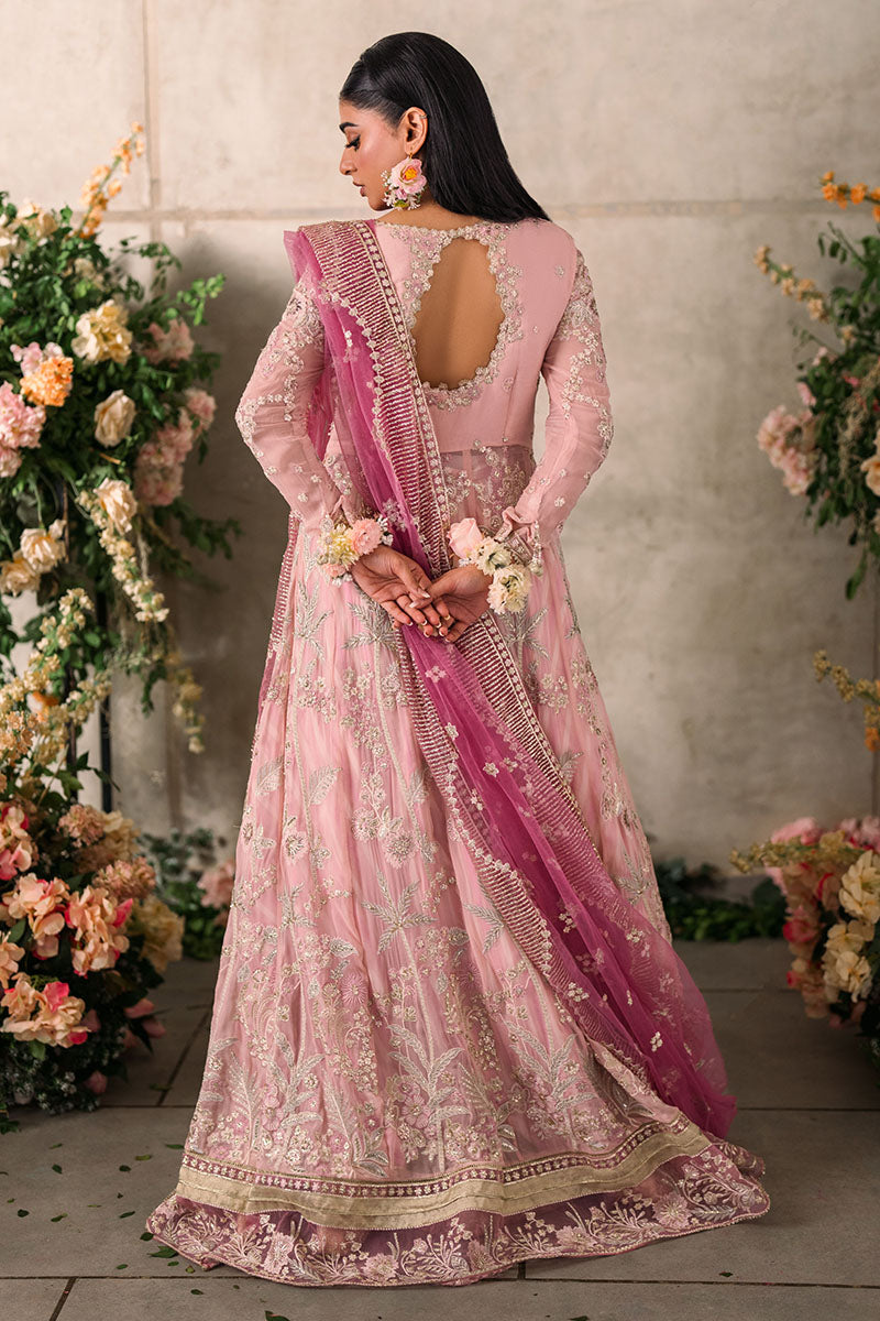 Mushq Unstitched Mastani Evening
