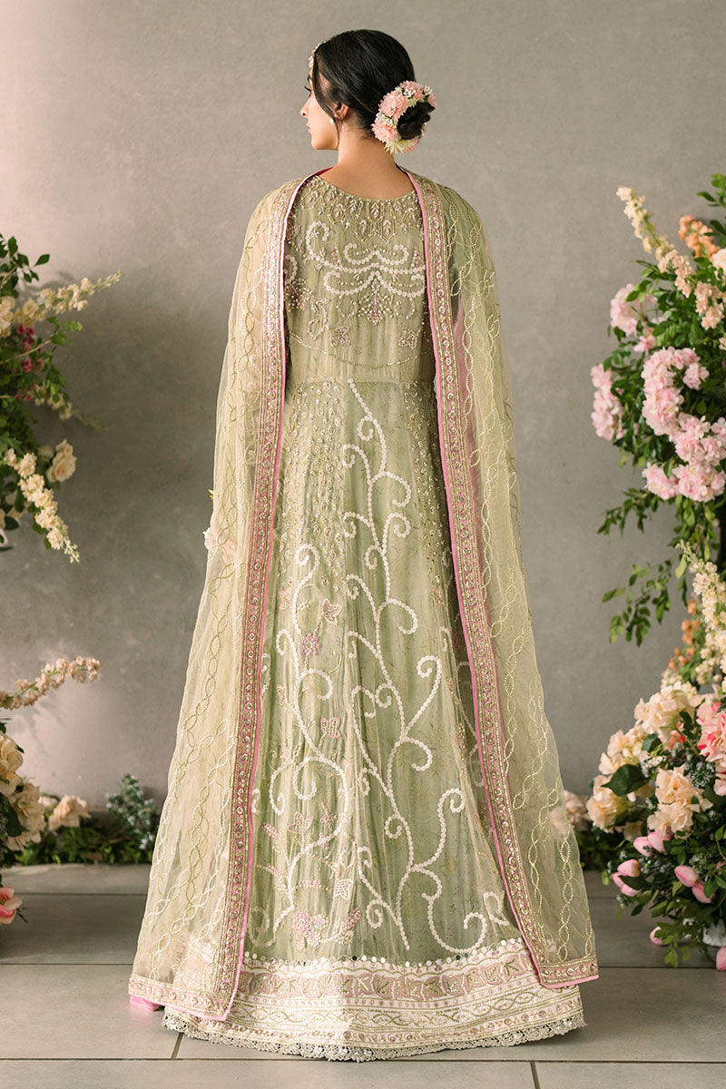 Mushq Mastani Evening Luxury Wedding Formals
