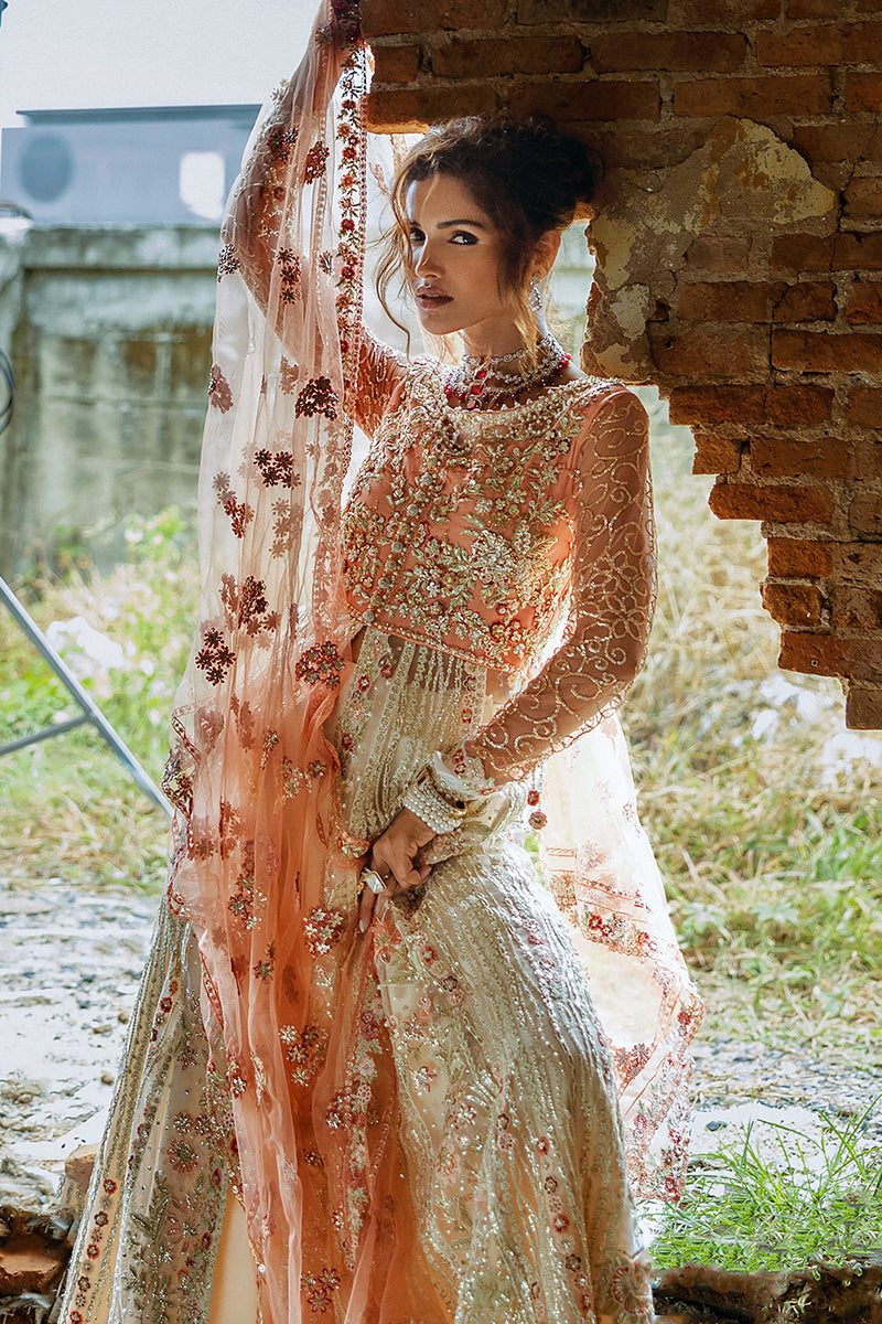 Mushq Stardust Luxury Wedding Formals – Galaxy Gown