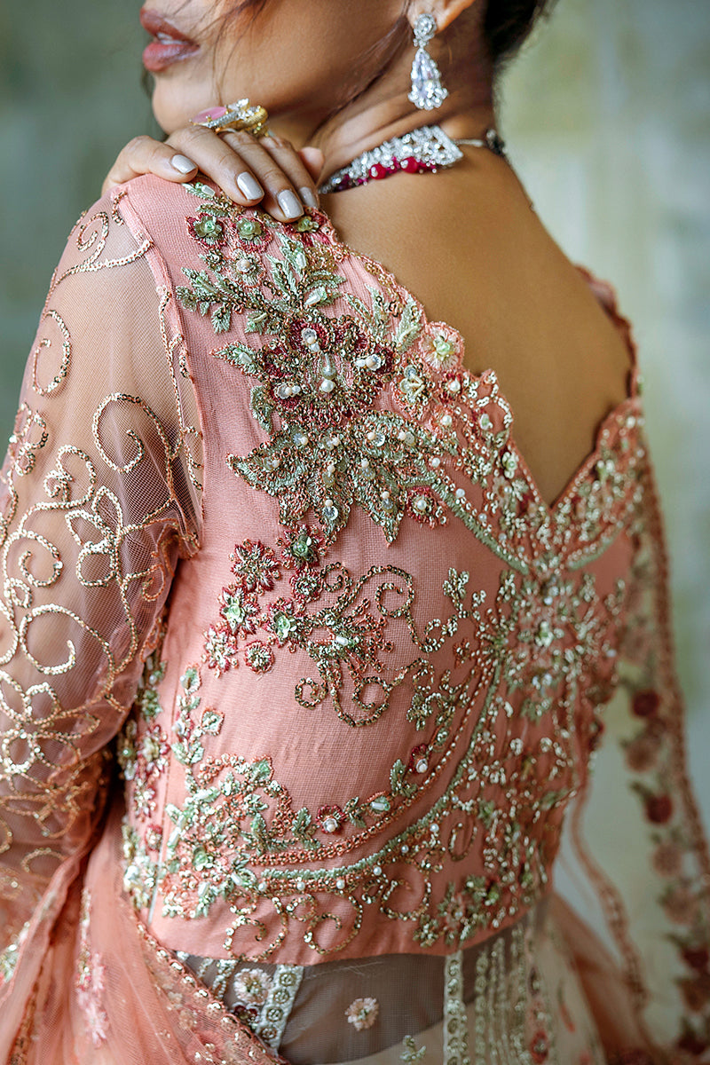 Mushq Stardust Luxury Wedding Formals – Galaxy Gown