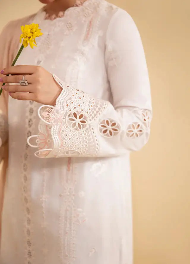 Qlinekari By Qalamkar Chikankari Lawn