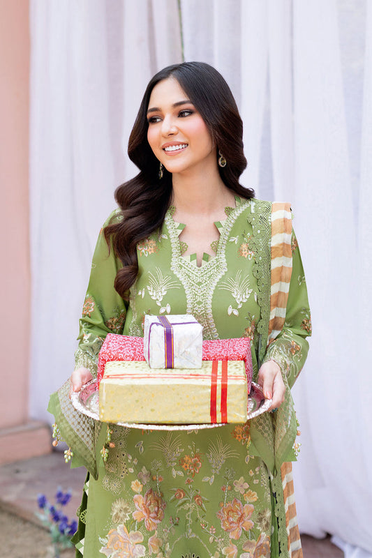 pakistani pakistani suit pakistani suit