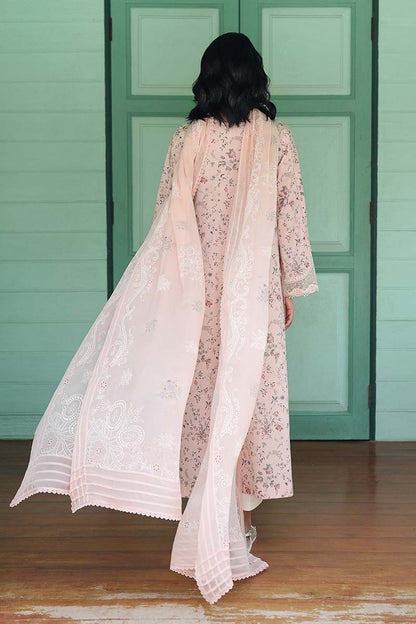 Qalamkar QPrints Spring/Summer Lawn