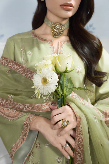 Rang Rasiya Lumeire Silk