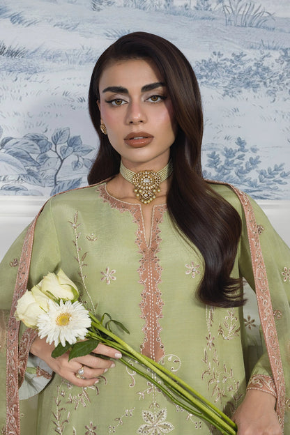 Rang Rasiya Lumeire Silk