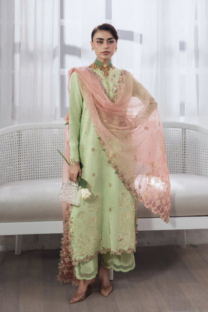 Rang Rasiya Lumeire Silk