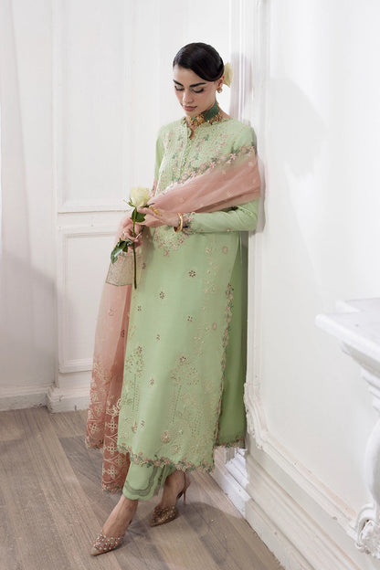 Rang Rasiya Lumeire Silk