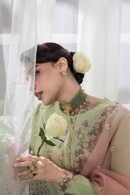 Rang Rasiya Lumeire Silk