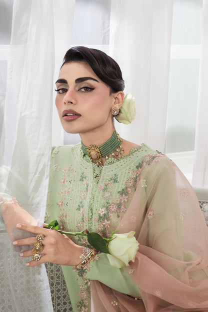 Rang Rasiya Lumeire Silk