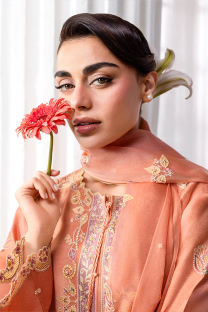 Rang Rasiya Lumeire Silk ’