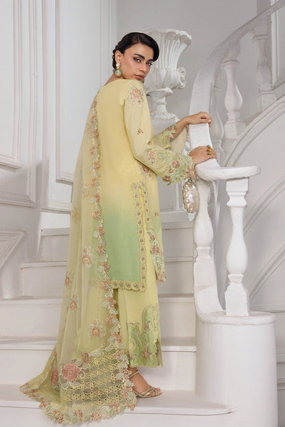 Rang Rasiya Lumeire Silk