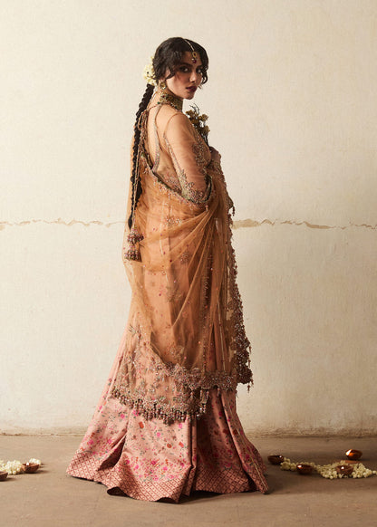 Hussain Rehar Festive Luxury Wedding Formals