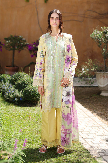 Rang Rasiya Lifestyle Summer Lawn