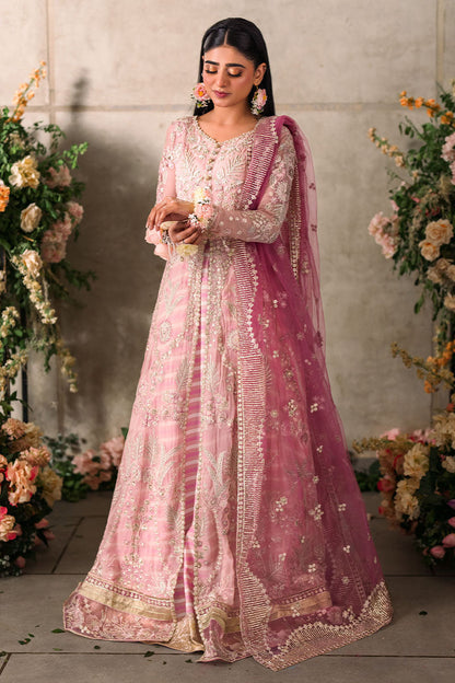 Mushq Unstitched Mastani Evening