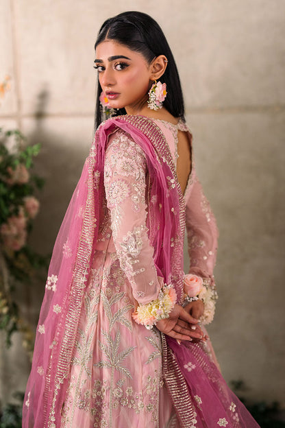 Mushq Unstitched Mastani Evening