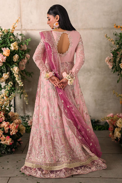 Mushq Unstitched Mastani Evening