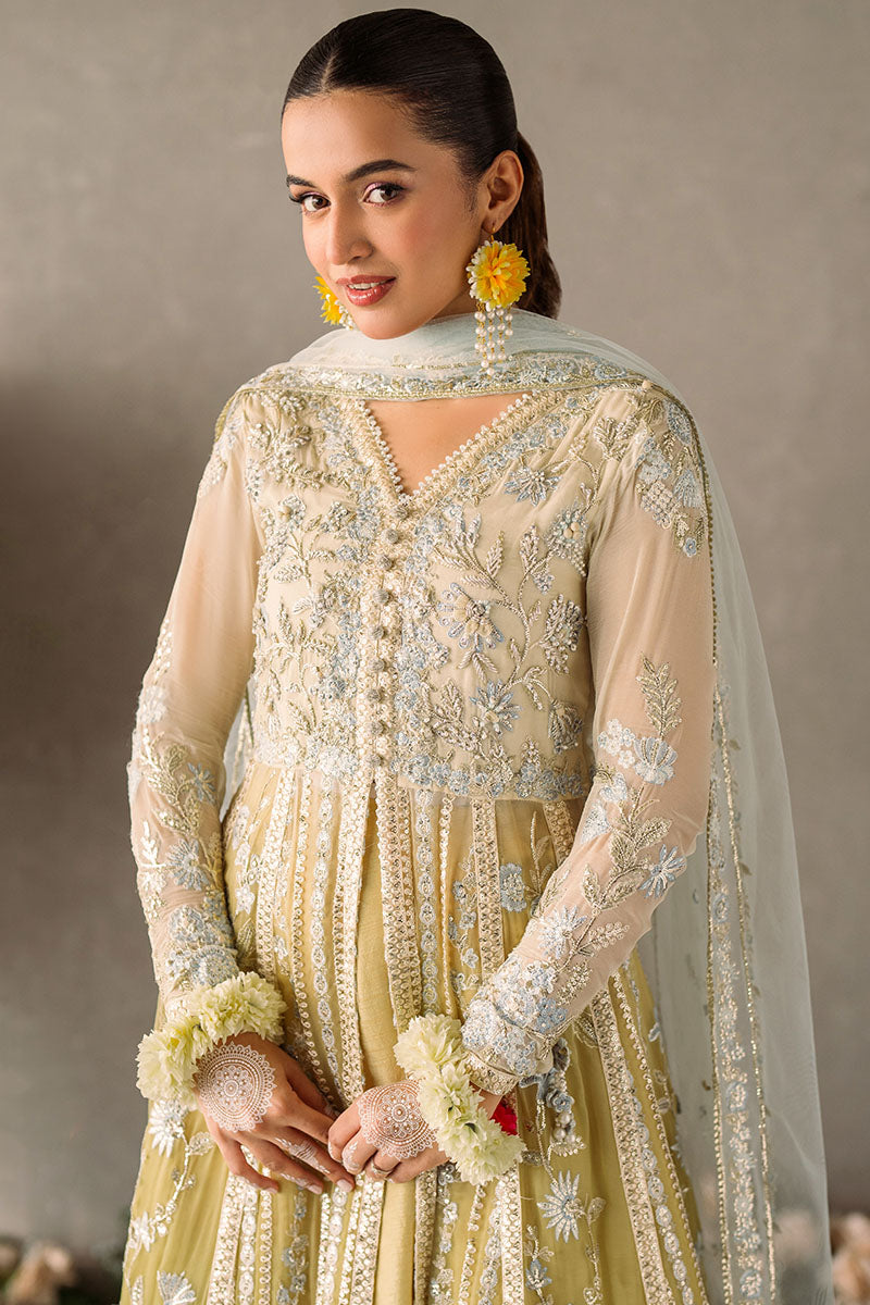 Mushq Unstitched Mastani Evening Chiffon Collection