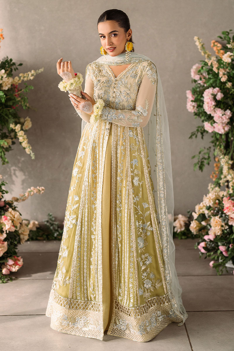 Mushq Unstitched Mastani Evening Chiffon Collection