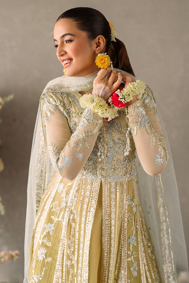 Mushq Unstitched Mastani Evening Chiffon Collection