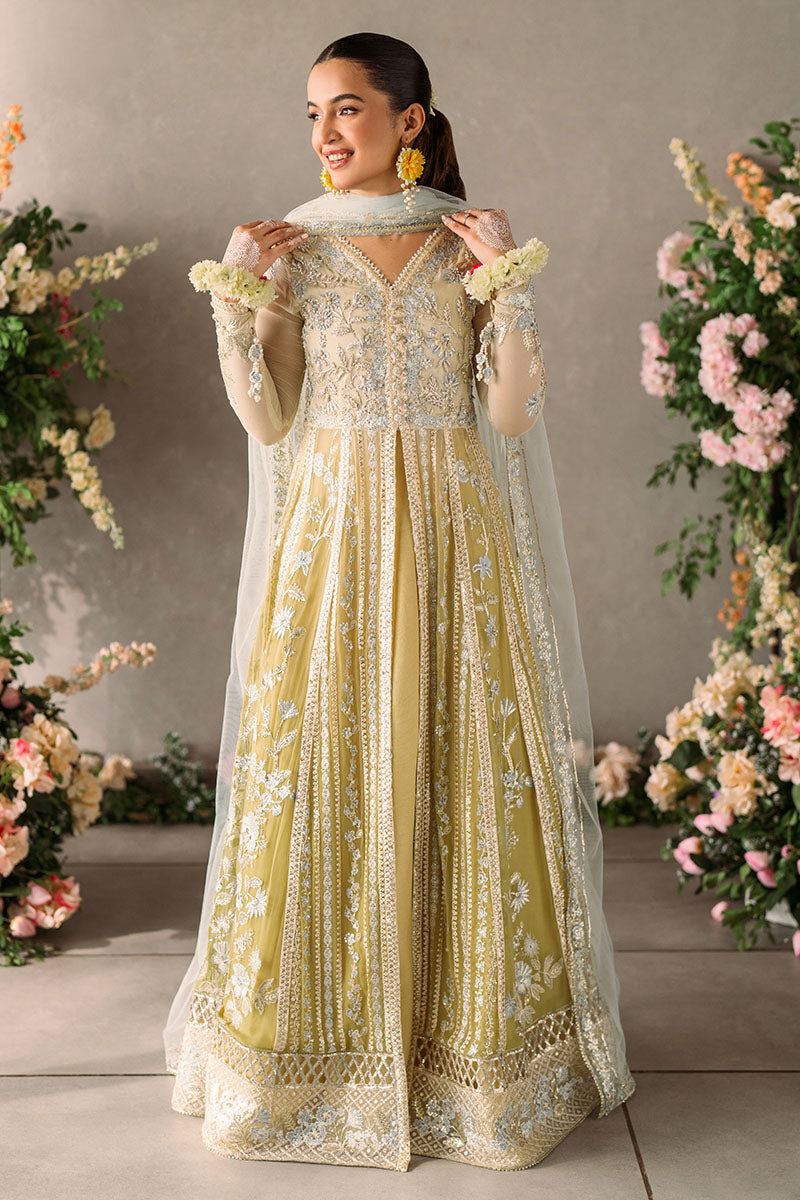 Mushq Unstitched Mastani Evening Chiffon Collection