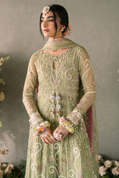 Mushq Mastani Evening Luxury Wedding Formals