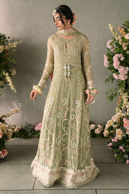 Mushq Mastani Evening Luxury Wedding Formals