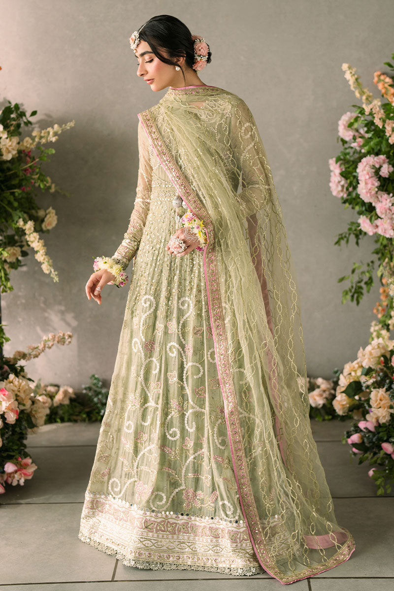 Mushq Mastani Evening Luxury Wedding Formals