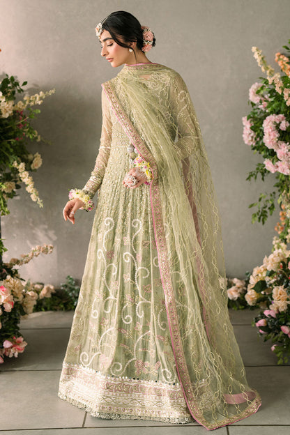Mushq Mastani Evening Luxury Wedding Formals