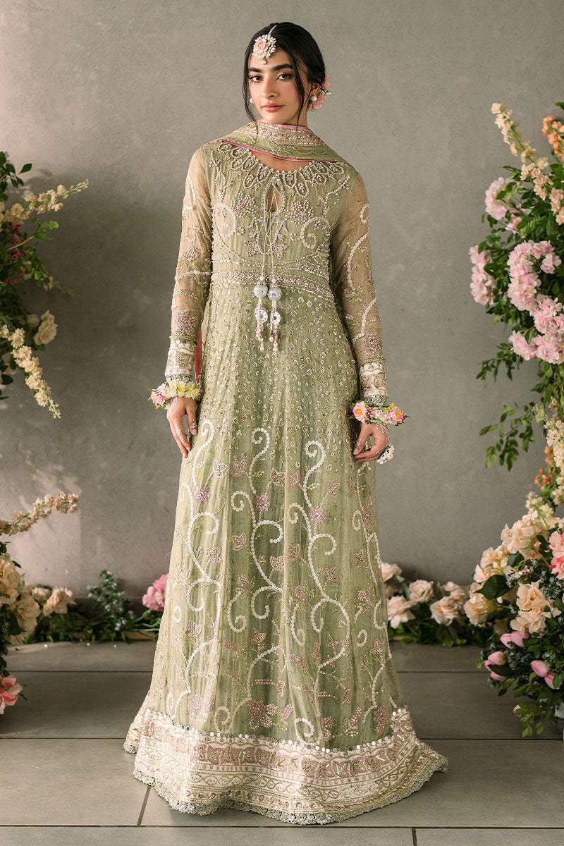 Mushq Mastani Evening Luxury Wedding Formals