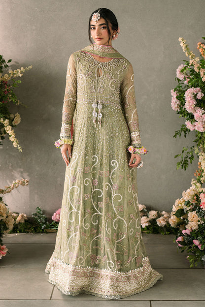 Mushq Mastani Evening Luxury Wedding Formals