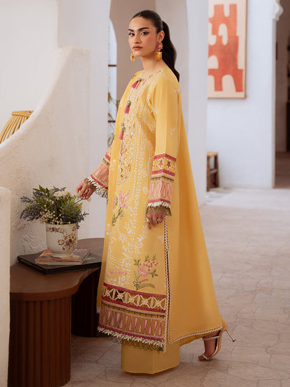 pakistani pakistani suit pakistani  suit