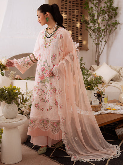 pakistani pakistani suit pakistani  suit