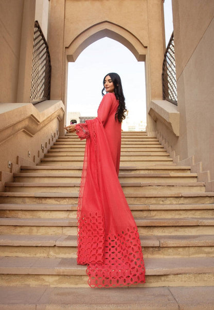 Rang Rasiya - Premium -Lawn Collection -Natalia