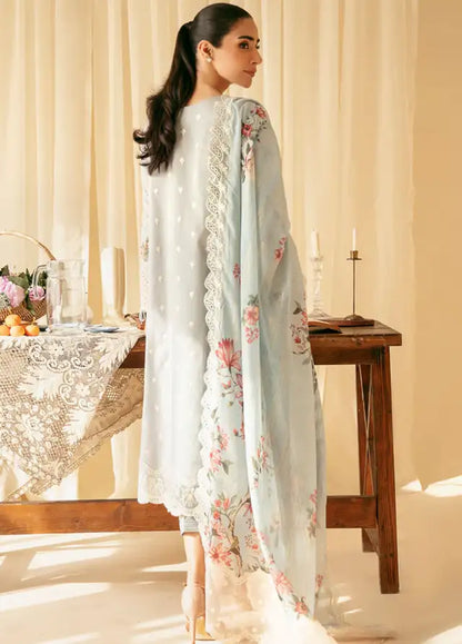 Qlinekari By Qalamkar Chikankari Lawn
