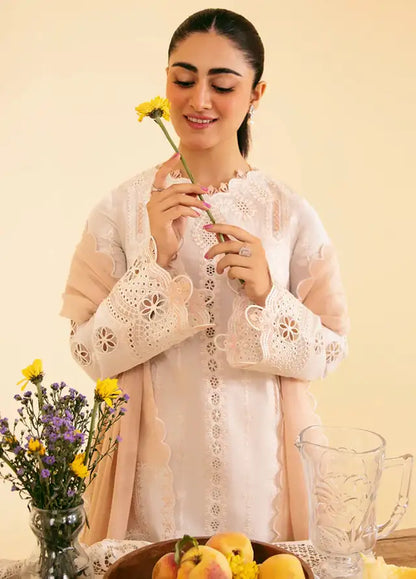 Qlinekari By Qalamkar Chikankari Lawn