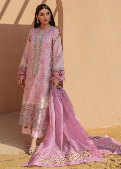 Rang Rasiya - Premium -Lawn Collection- Ayleen